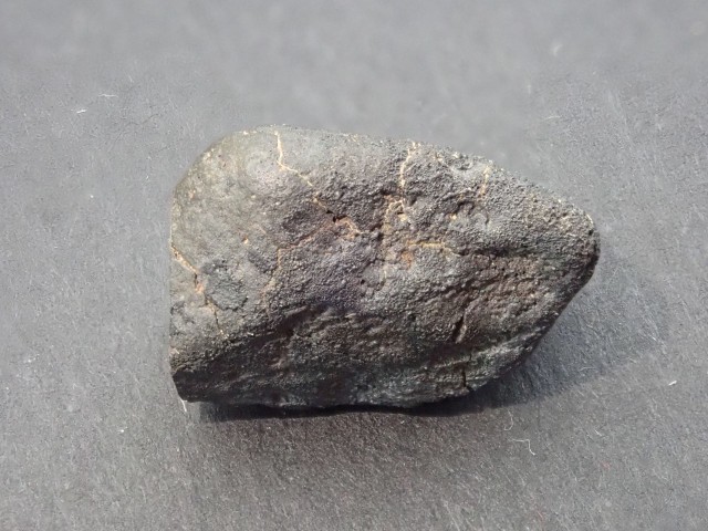 Almahata Sitta MS-246 Fine-grained Ureilite No. 1