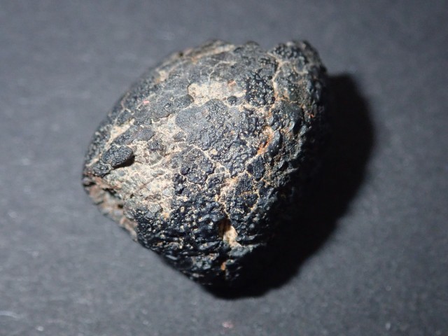 Almahata Sitta MS-265 Fine-grained Ureilite No. 1