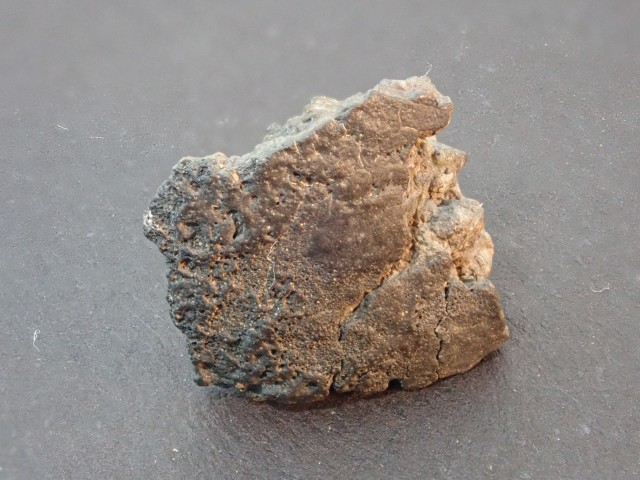 MS-239 1,99g Coarse-grained Ureilite No.1