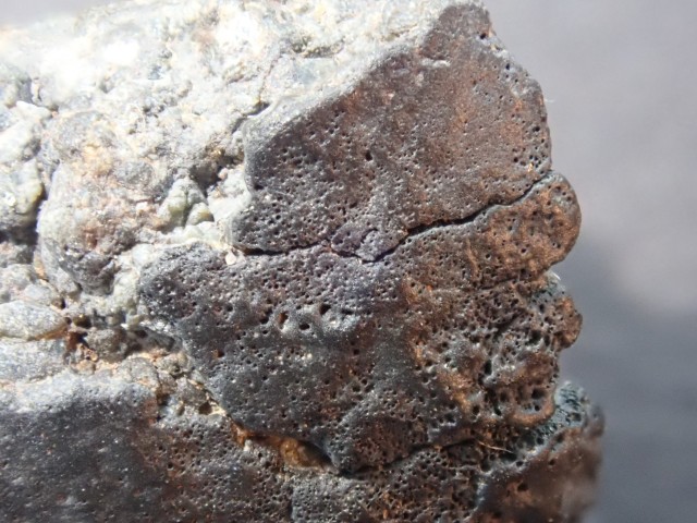MS-239 1,99g Coarse-grained Ureilite No.1